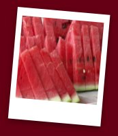  Cut Melon Food Safety 